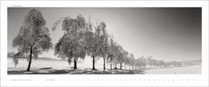 Kalender Bäume