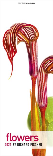 Flowers 2021