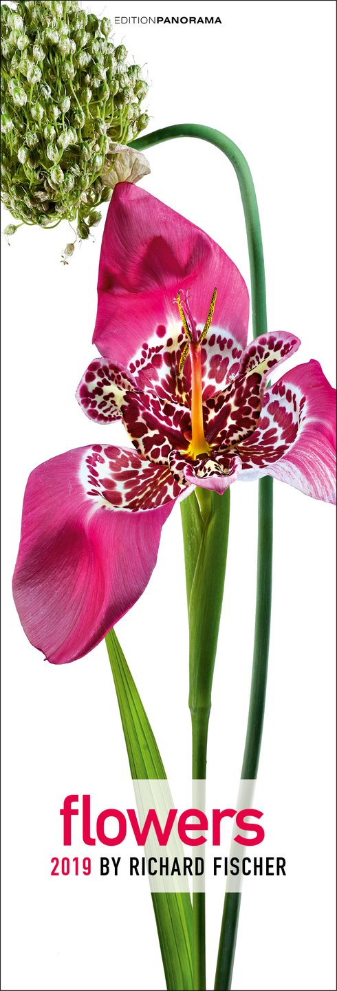 Kalender Flowers 2019