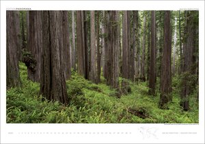 Kalender Wälder der Erde