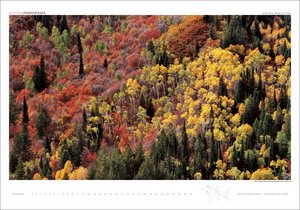 Kalender Wälder der Erde
